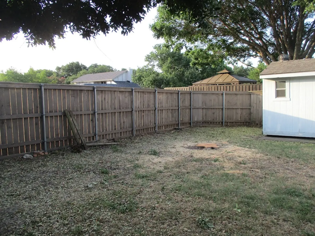 Cleared yard after professional tree removal in Big Pool