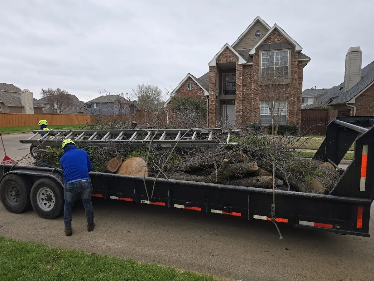 Expert Tree Removal with proper safety equipment in Big Pool